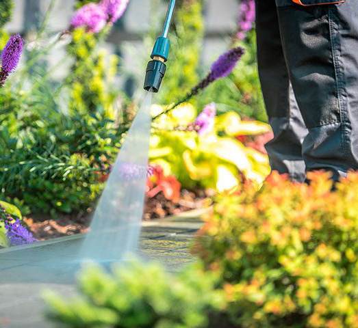 pulizia degli esterni